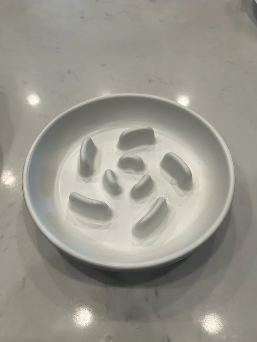 Slow-Feed Cat Bowl with Brown Cat-Shaped Wooden Stand - White Bowl